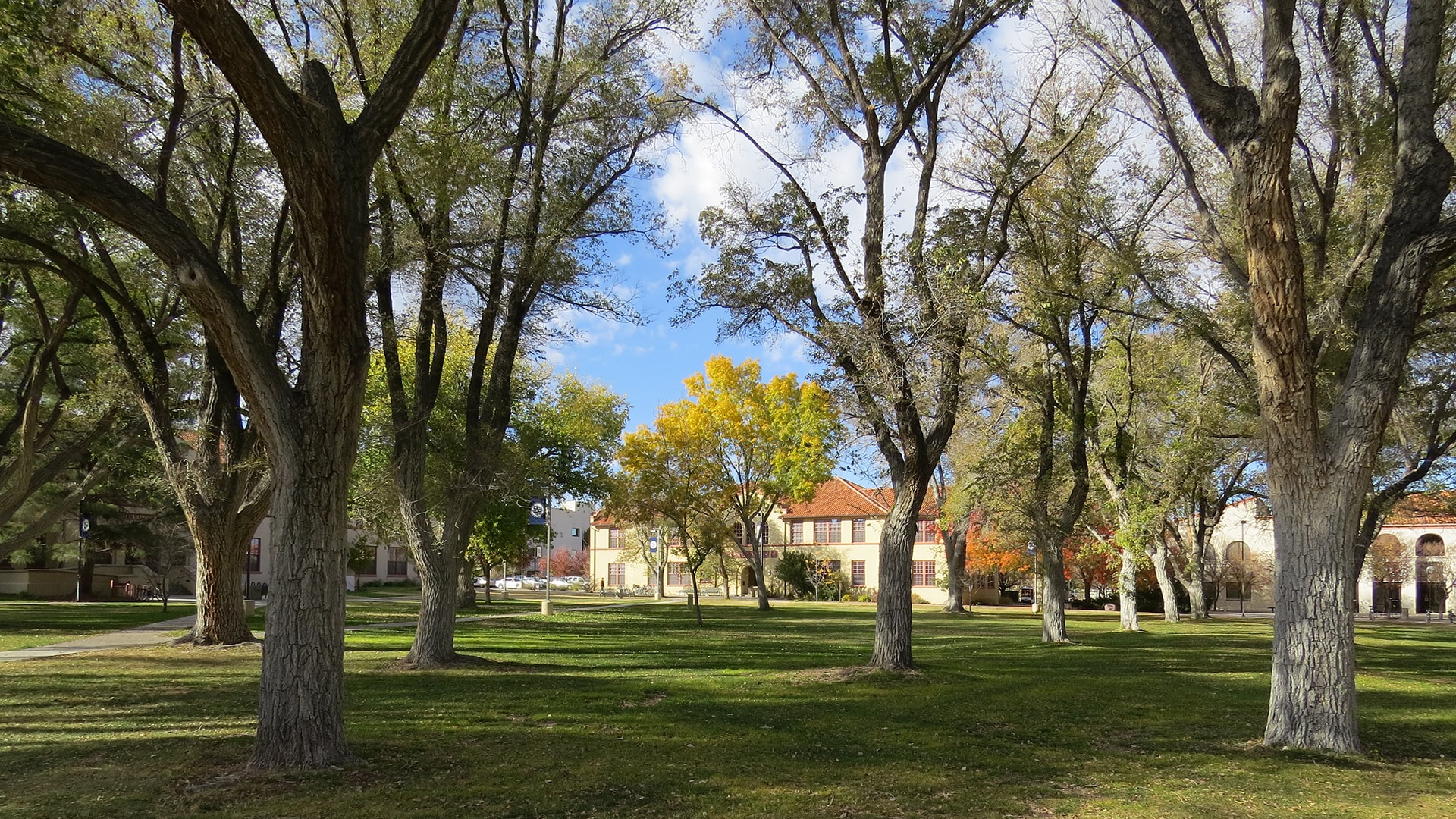 All The Safest New Mexico College Campuses