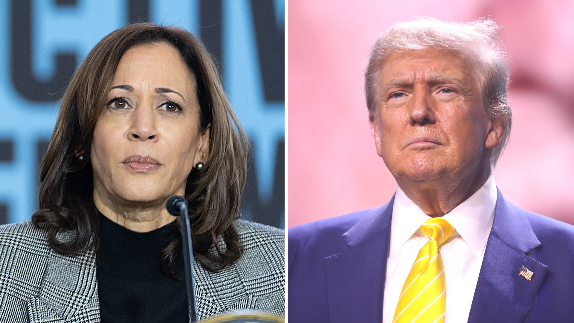 see-how-favorable-trump-and-harris-are-in-new-mexico-according-to-polls